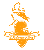 Anderson & Sons Logo